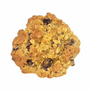Close-up top view of a homemade oatmeal raisin cookie with oats and raisins visible on the surface.