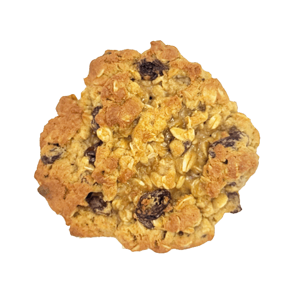 Close-up top view of a homemade oatmeal raisin cookie with oats and raisins visible on the surface.