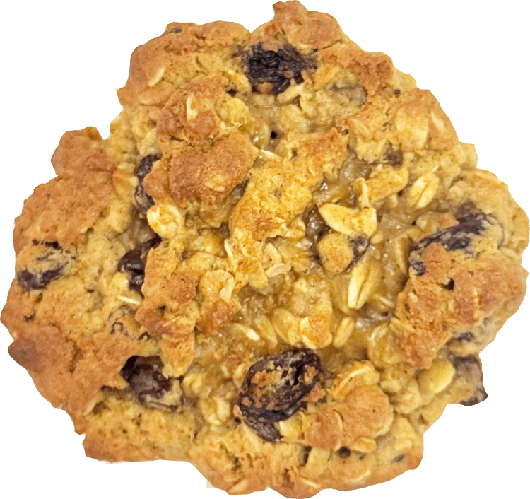 Close-up top view of a homemade oatmeal raisin cookie with oats and raisins visible on the surface.