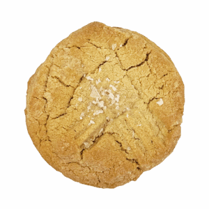 Close-up of a homemade peanut butter cookie with a crisscross fork pattern on top.
