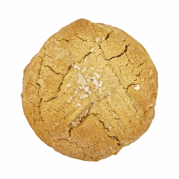 Close-up of a homemade peanut butter cookie with a crisscross fork pattern on top.